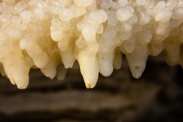 Similar image 17314931