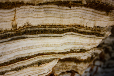 Similar image 17314996