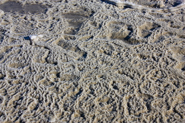 Similar image 17315968