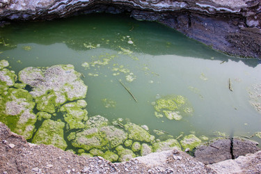 Similar image 17317102