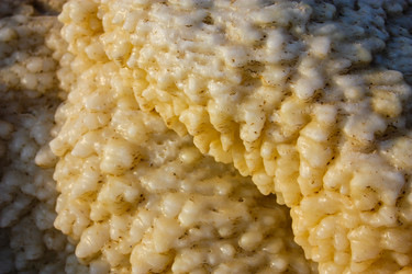 Similar image 17543255