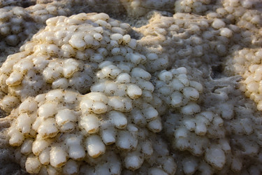 Similar image 17543257