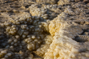 Similar image 17543271