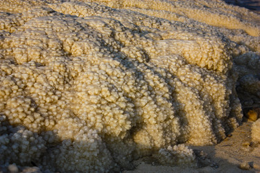 Similar image 17543273