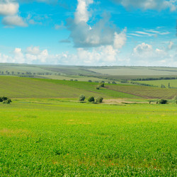 Similar image 17241477