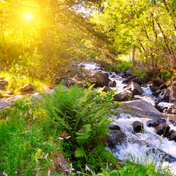 Similar image 17241478