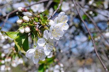 Similar image 17241484