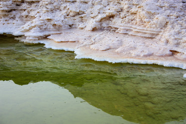 Similar image 17244653