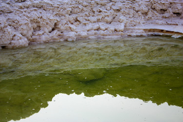 Similar image 17296957