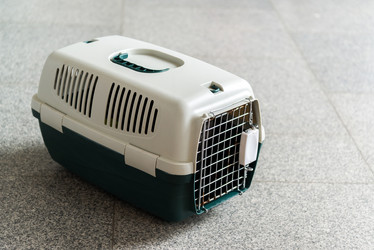 Similar image 17246266