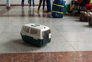 Similar image 17246267