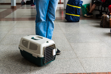 Similar image 17246281