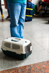 Similar image 17246283