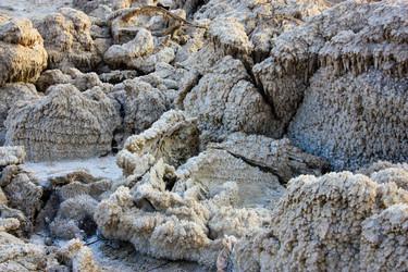 Similar image 17296993