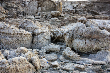 Similar image 17297623