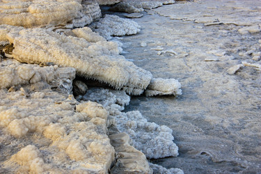 Similar image 17297727