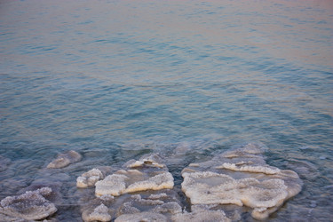 Similar image 17316034