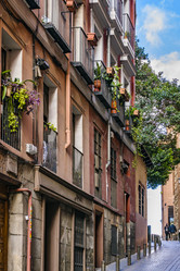 Similar image 17241499