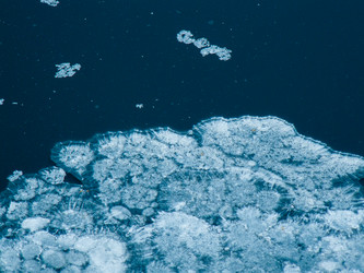 Similar image 17244632