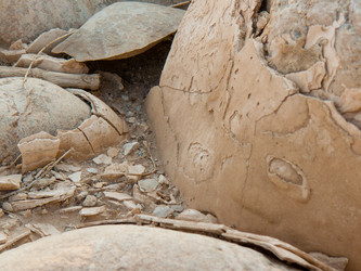 Similar image 17244634