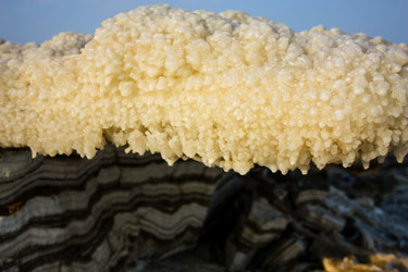 Similar image 17244695