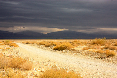 Similar image 17316037