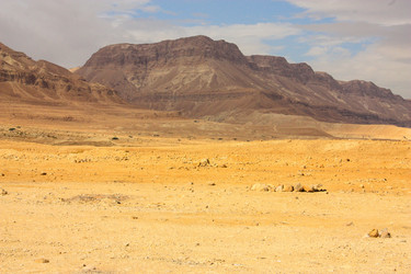 Similar image 17543259