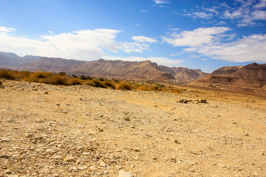 Similar image 17543260