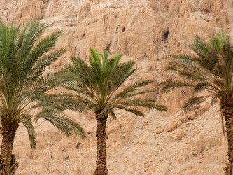 Similar image 17244710