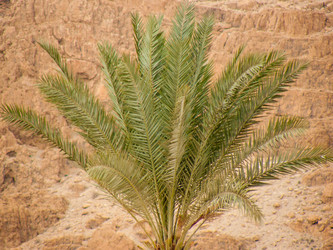 Similar image 17244726