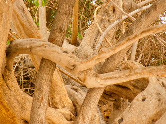 Similar image 17244709