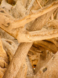 Similar image 17248524