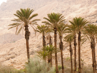 Similar image 17248525