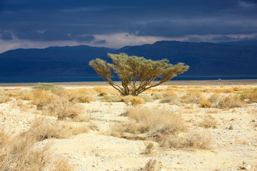 Similar image 17248526