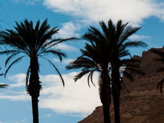 Similar image 17297639