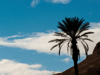 Similar image 17315088