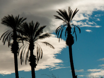 Similar image 17315143