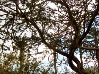 Similar image 17315380