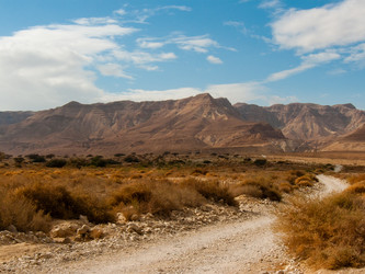 Similar image 17316025