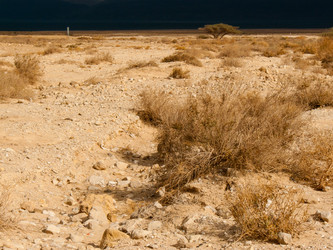 Similar image 17543278