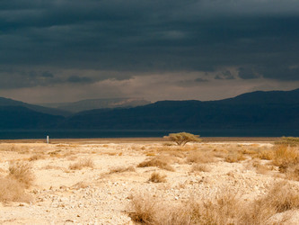 Similar image 17543295