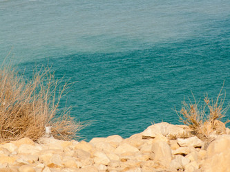 Similar image 17314808