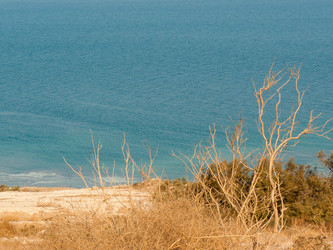 Similar image 17316039