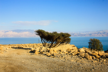 Similar image 17297997