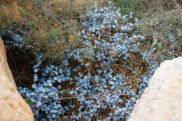 Similar image 17248595