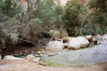 Similar image 17248597