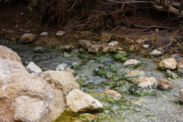 Similar image 17298029