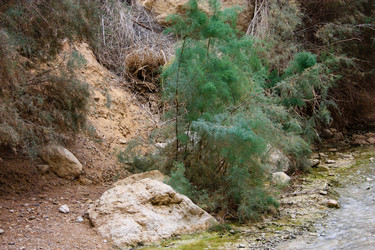 Similar image 17298403