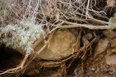 Similar image 17297197