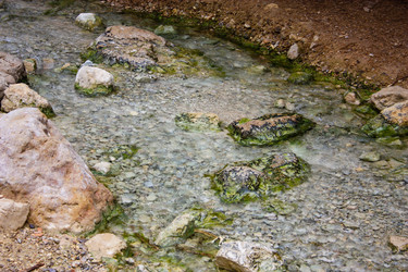 Similar image 17297231